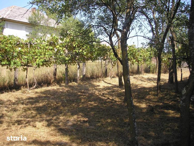 Casă cu 6 camere cu Teren 10400 Mp în Asuaju de Sus