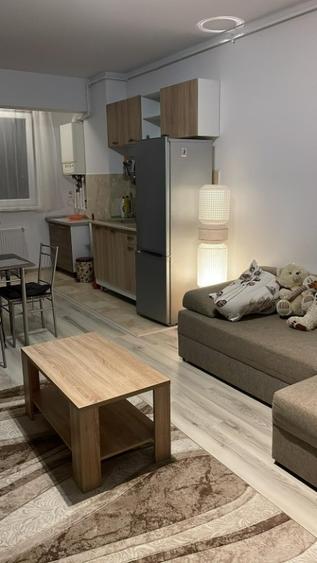 Apartament cu 2 camere decomandat în Vest
