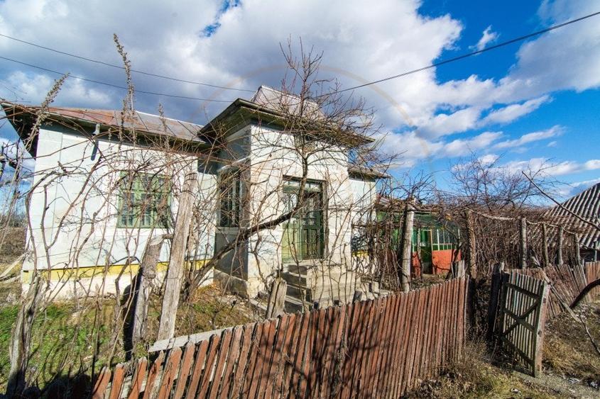 Casă individuală cu 3 camere cu Teren 4145 Mp în Vedea