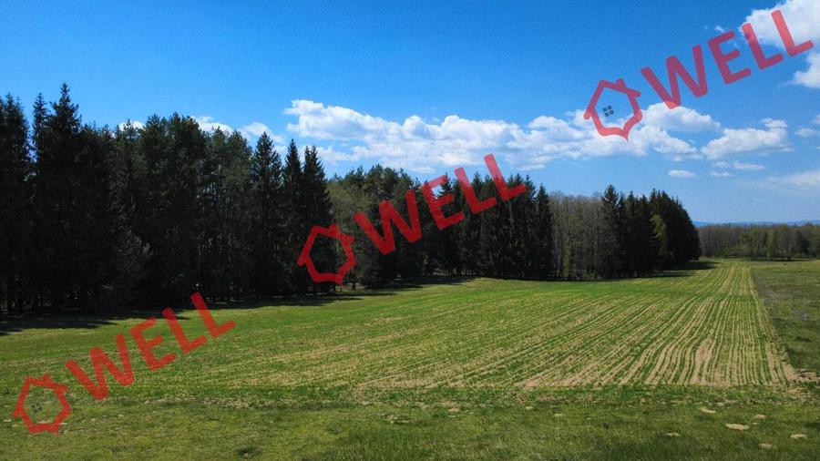 Teren agricol extravilan de 2900 mp, în Reci