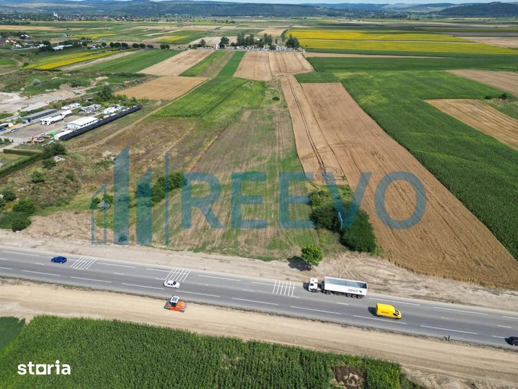 Teren de 4947 mp, în Horia