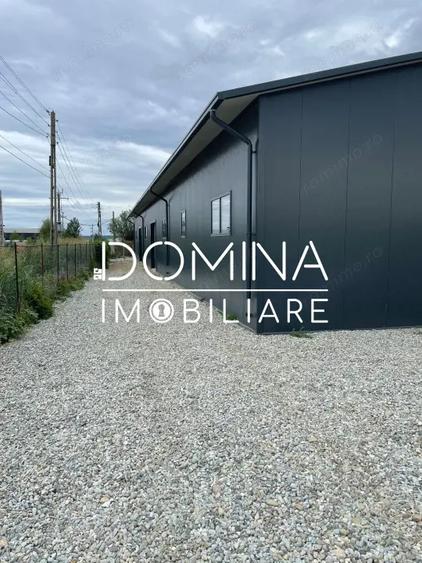 Spațiu comercial, de 1,626 mp, în Bălești