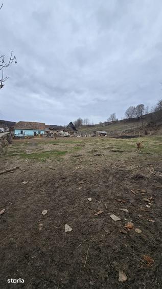 Teren de 1115 mp, în Bârghiș