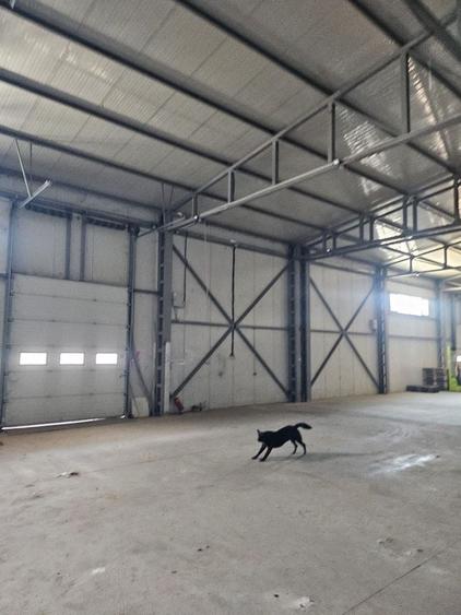 Spațiu industrial, de 490 mp, în Afumați