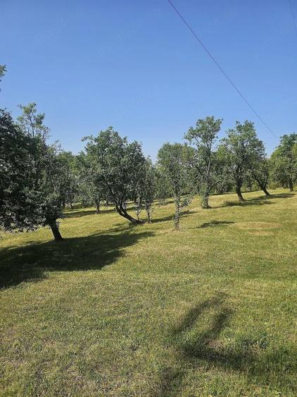 Teren de 11033 mp, în Nucșoara de Sus