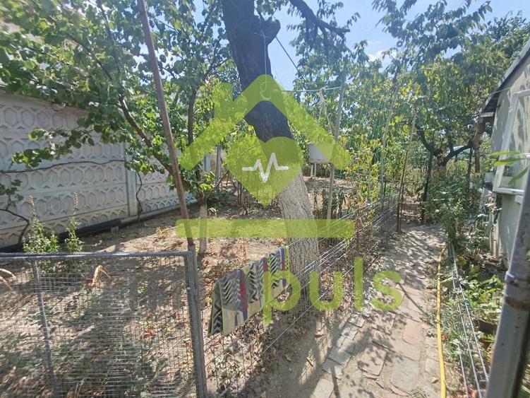 Casă cu 4 camere cu Teren 390 Mp în Vest