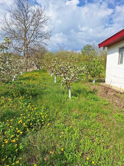 Casa P+M, direct proprietar, teren 2093 mp - 8