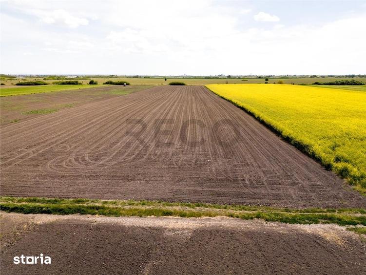 Teren de 13400 mp, în Borș