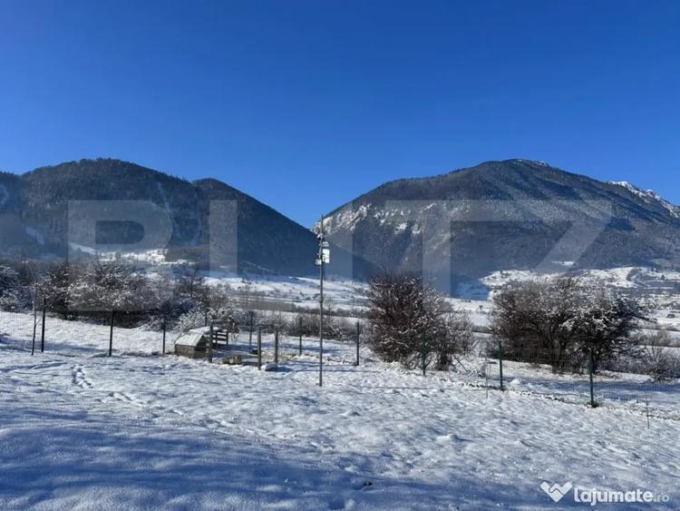 Teren de 1000 mp, în Tohănița
