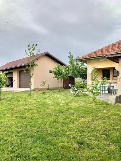 Casă cu Teren 9600 Mp în Pleșoiu