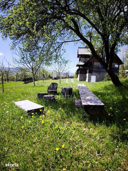 Pensiune agroturistica de vanzare | Dese?ti Maramure? - 16