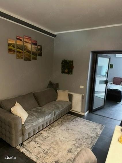 Apartament cu 2 camere în Take Ionescu