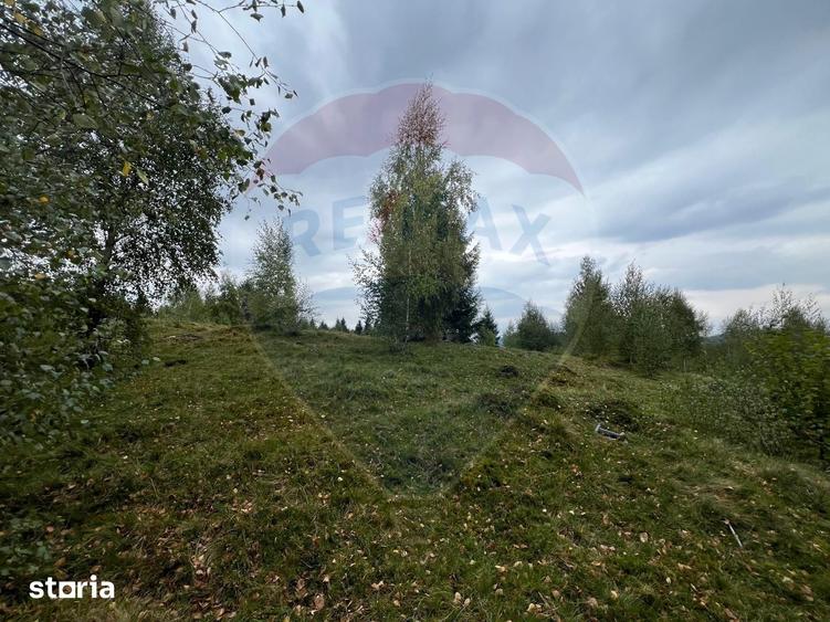 Teren extravilan parcelabil Cala?ele Padure, zona Dealu Negru - 11