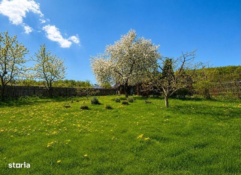 Casă cu 3 camere cu Teren 2100 Mp în Central