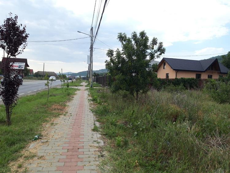 Teren de 7800 mp, în Tomești
