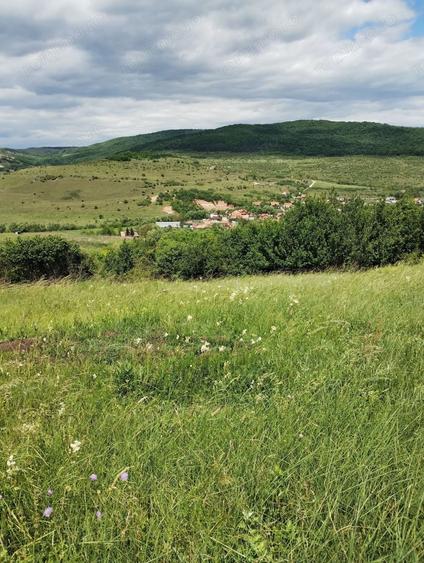 Teren de 2200 mp, în Rădaia