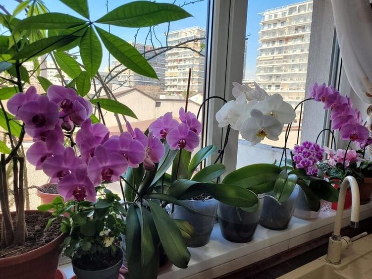 Apartament cu 2 camere semidecomandat în Baba Novac