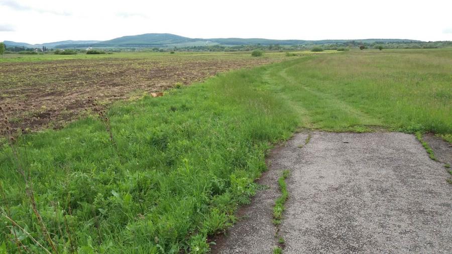 Teren agricol extravilan de 19000 mp, în Sud