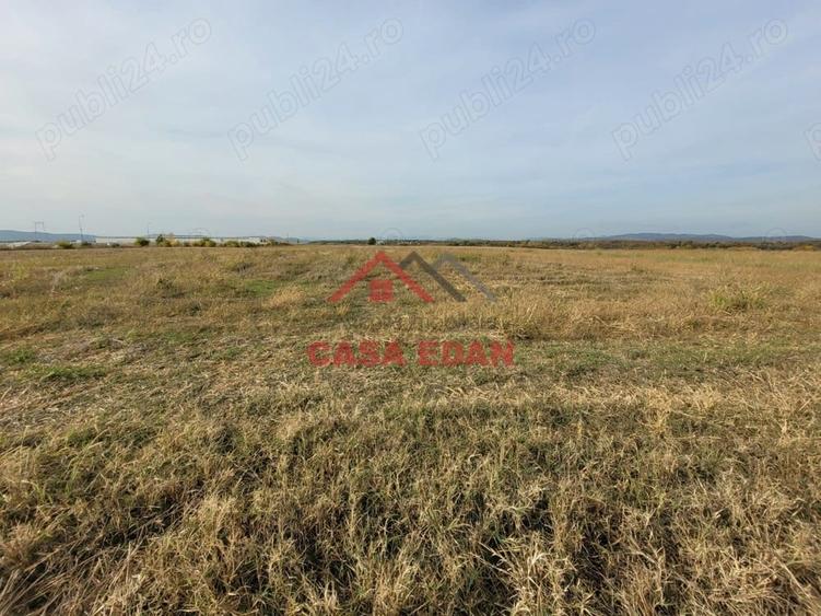 Teren intravilan in Baicoi zona targului--10.000mp--5e - 9