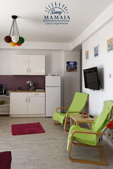 Apartament 2 camere, inchiriere termen lung - 7
