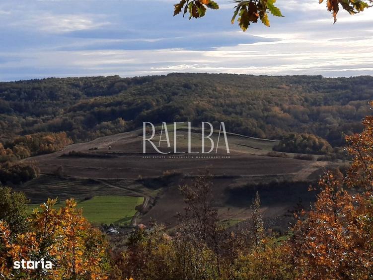 Teren de vanzare 47,4 ha| Judetul GORJ| BORASCU BOLBOSI - 3