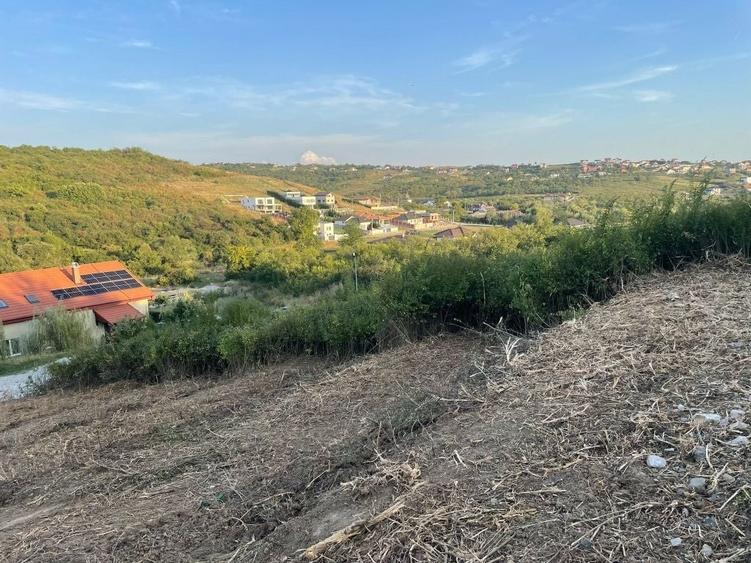 Teren de 800 mp, în Săldăbagiu de Munte