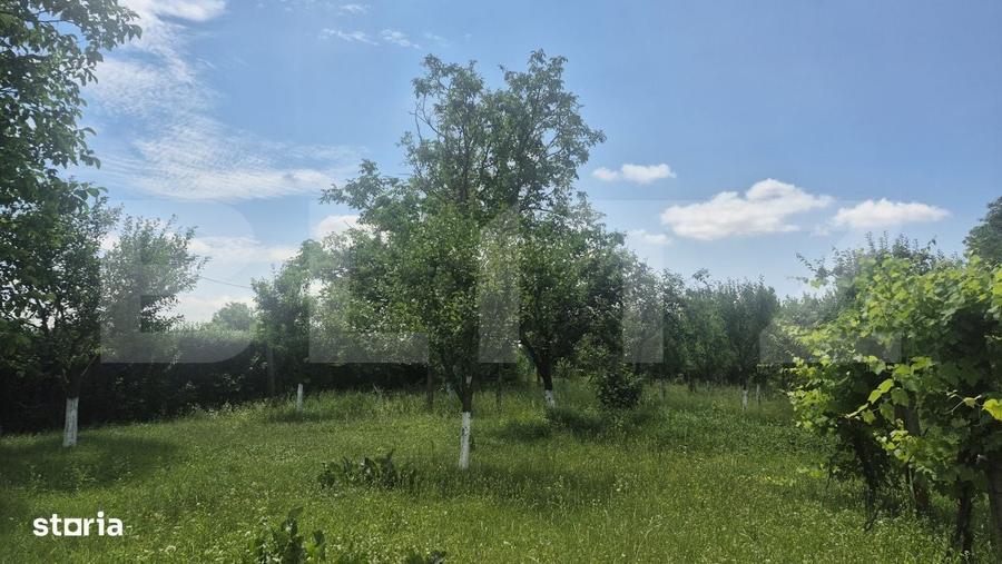 Spațiu comercial, în Ambud