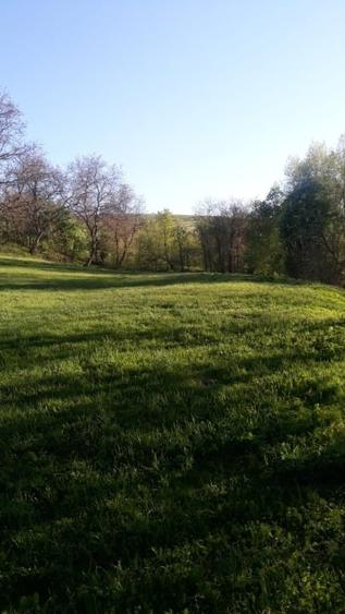 Teren intravilan de 7635 mp, în Baciu