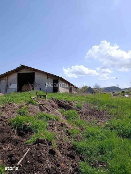 Teren 5300mp + Casa modesta si anexe, SanPaul, sat Sumurducu, jud.Cluj