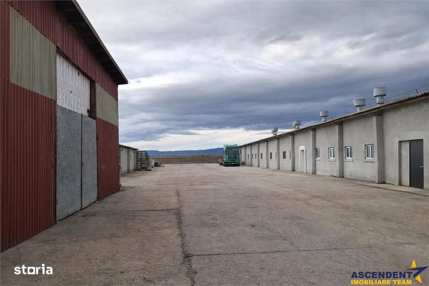Spațiu comercial, de 400 mp, în Colonia Bod
