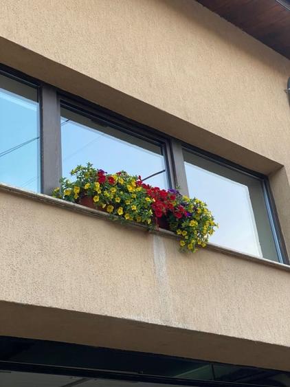 Casă individuală cu 7 camere cu Canalizare în Central
