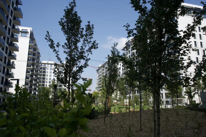 Apartament 4 camere cu gradina de 195 mp | Geamuri Schüco, parchet triplustratif - 3
