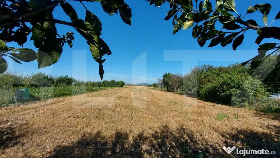 Casă cu 3 camere cu Teren 3860 Mp în Chichiș