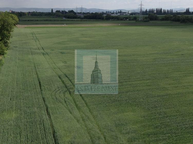 Teren Construcții intravilan de 50000 mp, în Hălchiu