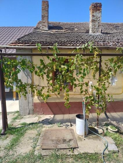 Casă cu 3 camere în Peregu Mic