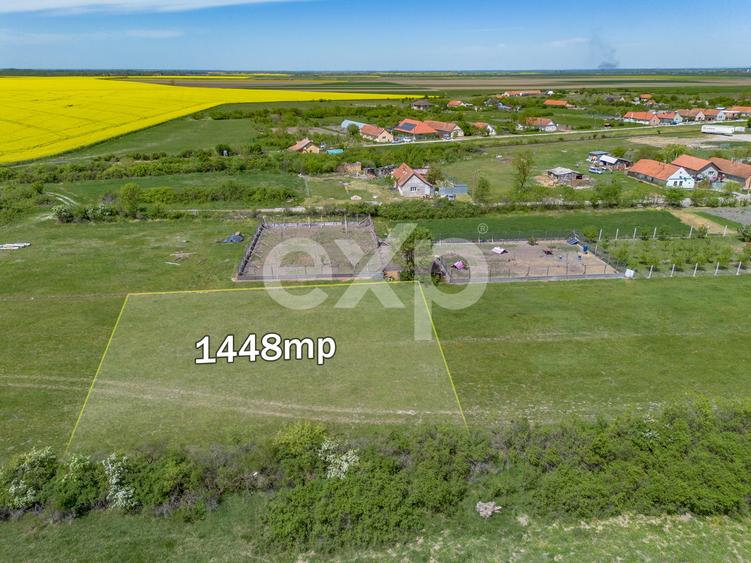 Teren Construcții intravilan de 1448 mp, în Nițchidorf
