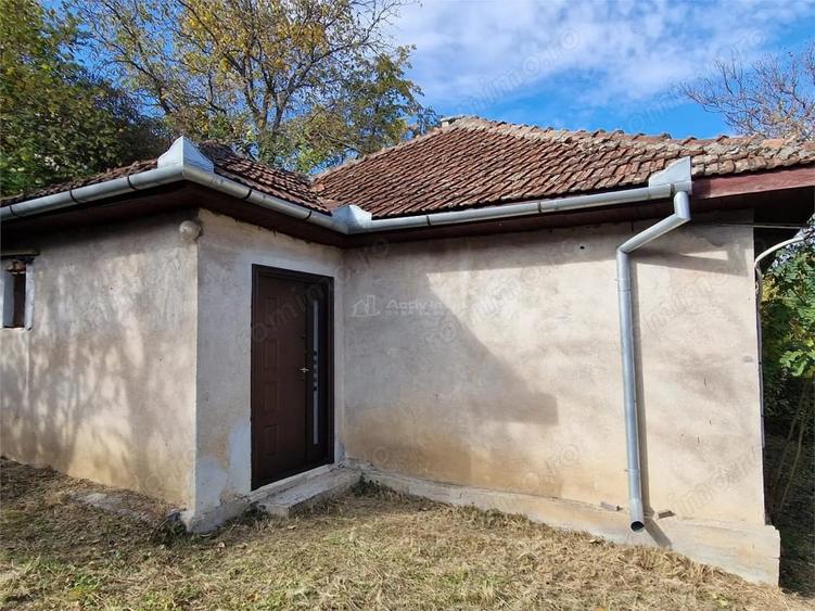 Resita Casa cu Teren privat 4670 Mp. - 13