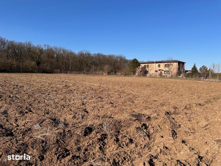 Teren de 2805 mp, în Găneasa