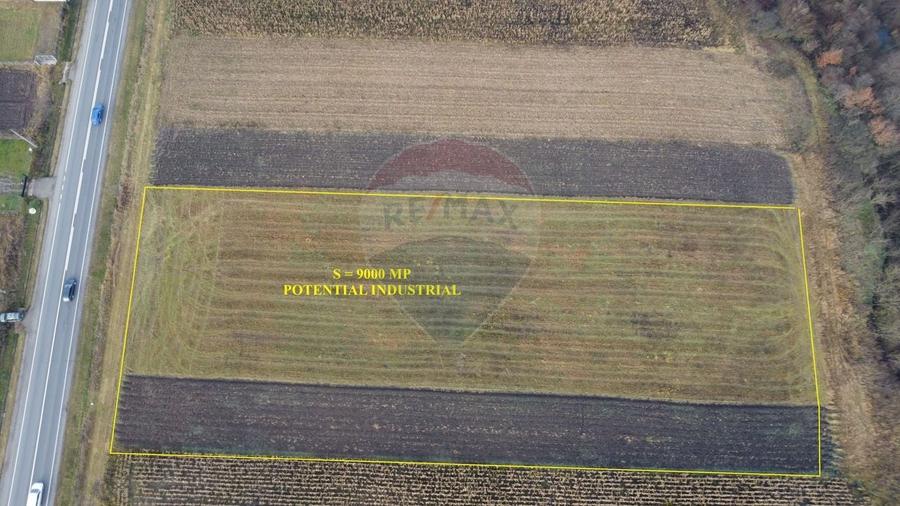 Teren Construcții intravilan de 9000 mp, în Gilău