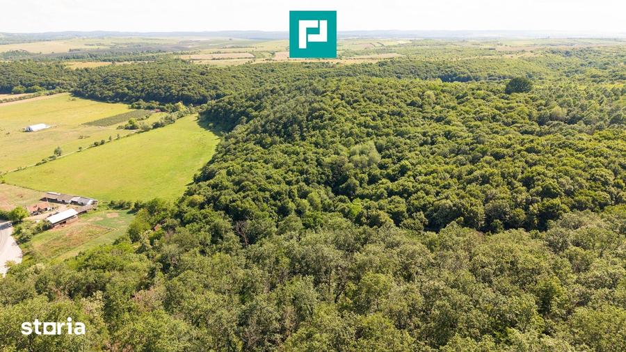 Teren de 22900 mp, în Central