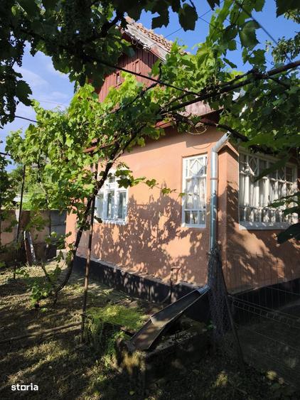 Casă cu 5 camere cu Teren 4000 Mp în Central