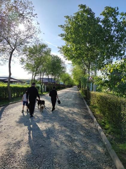 Teren Construcții intravilan de 500 mp, în Afumați