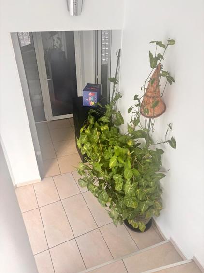 Casă individuală cu 5 camere cu Teren 180 Mp în Rahova