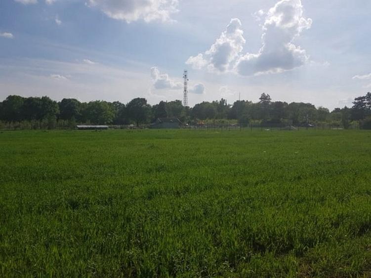 Teren Construcții intravilan de 3000 mp, în Ciolpani