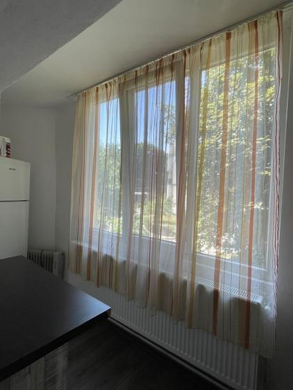 Garsonieră în Dosu Bricii