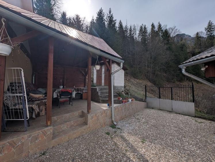Casă cu 3 camere în Vidra