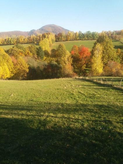 Teren intravilan suprafata 3753mp Sohodol, Bran - 1