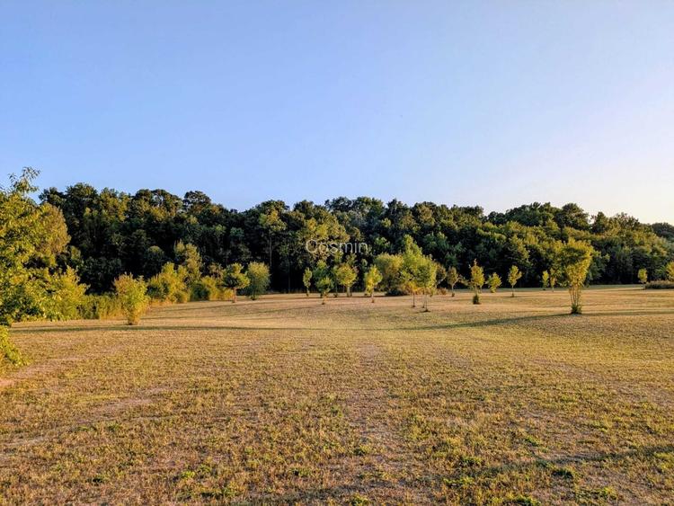Vand Teren extravilan, 6000 mp, in Ghiroda
