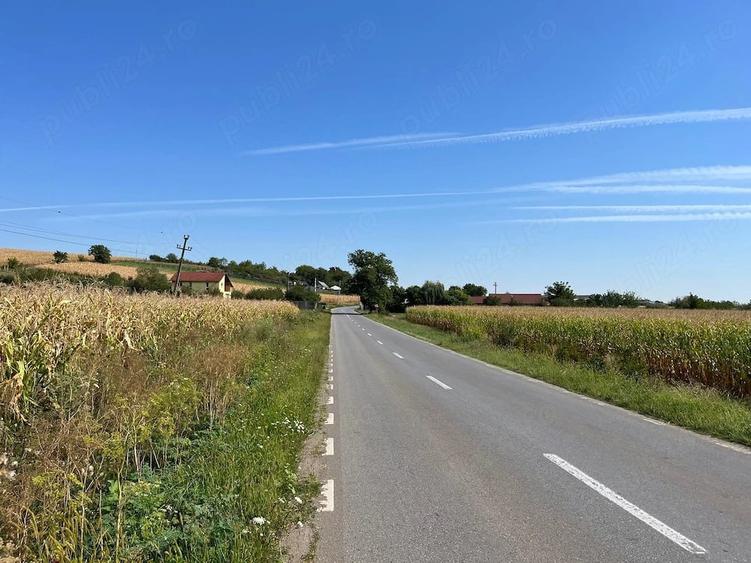 Teren de 6950 mp, în Central