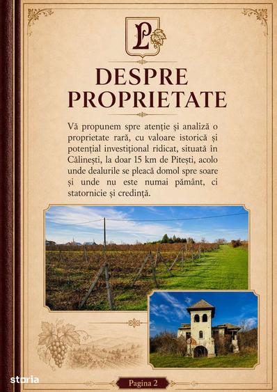 Teren de 53.000 mp cu vita de vie + Conac boieresc - 10
